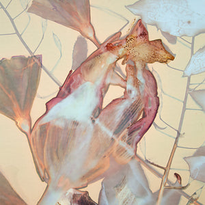 Benjamin Perron : Le temps adoucit tout (no.3)