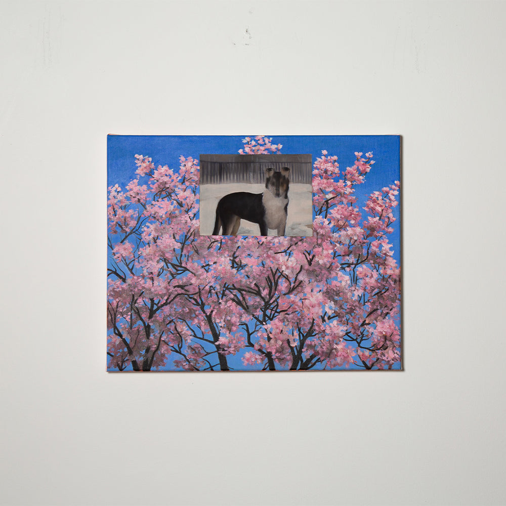
            
                Load image into Gallery viewer, Holly MacKinnon : Bonnie / Spring
            
        