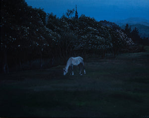 
            
                Load image into Gallery viewer, Alex Coma : Runaway Dream
            
        