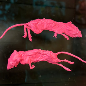 
            
                Load image into Gallery viewer, LOBO : 2 pink mice
            
        